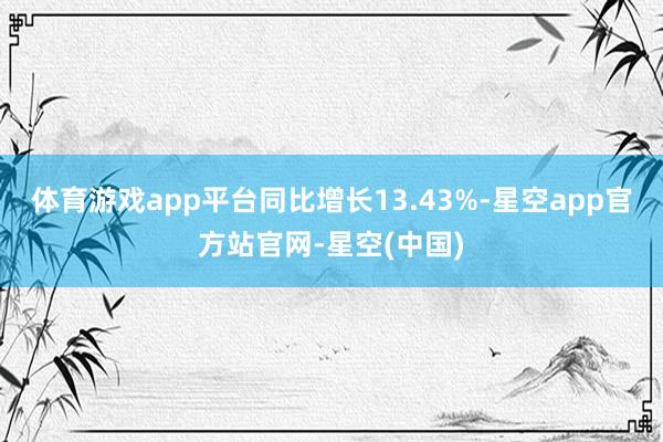体育游戏app平台同比增长13.43%-星空app官方站官网-星空(中国)