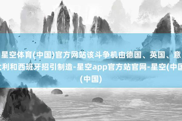 星空体育(中国)官方网站该斗争机由德国、英国、意大利和西班牙招引制造-星空app官方站官网-星空(中国)