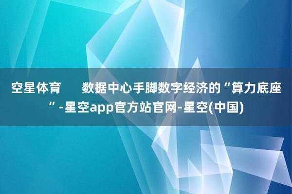 空星体育 数据中心手脚数字经济的“算力底座”-星空app官方站官网-星空(中国)