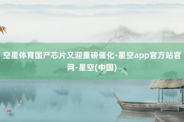 空星体育国产芯片又迎重磅催化-星空app官方站官网-星空(中国)