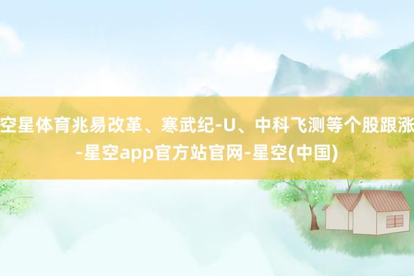 空星体育兆易改革、寒武纪-U、中科飞测等个股跟涨-星空app官方站官网-星空(中国)